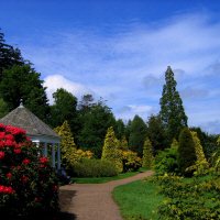 Nymans Garden